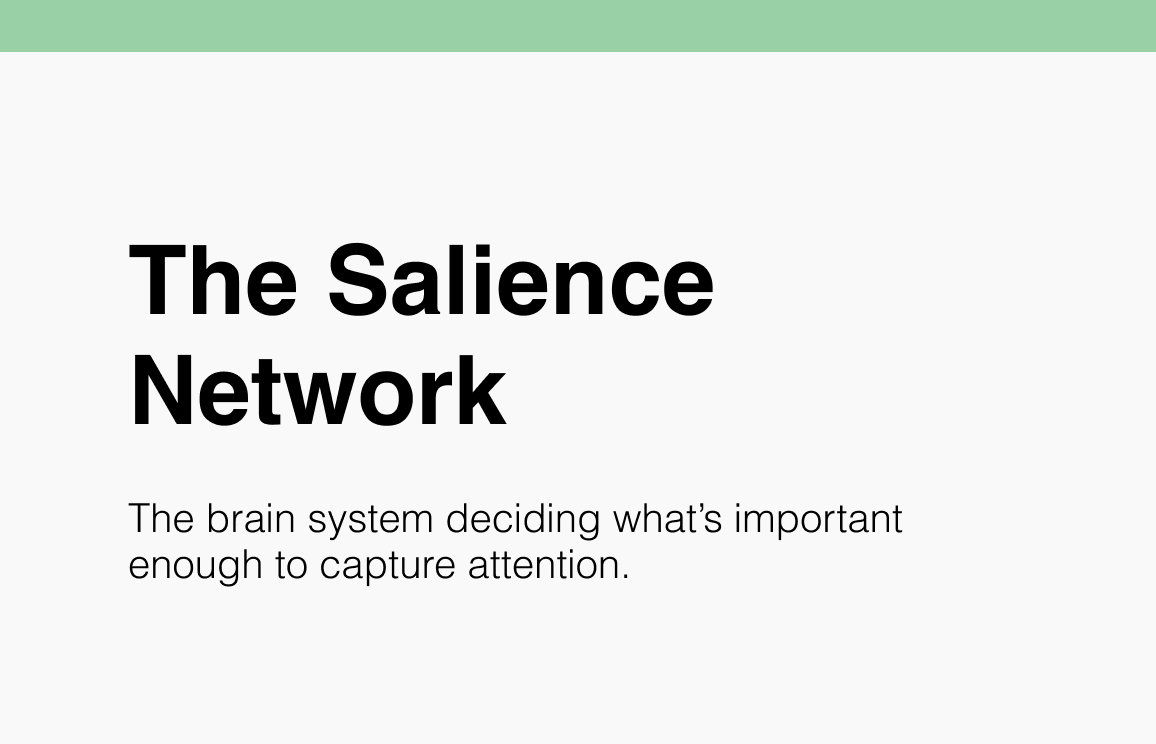 104 The Salience Network