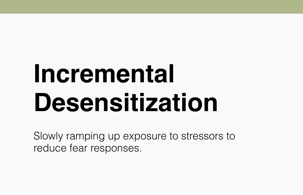 Incremental Desensitization