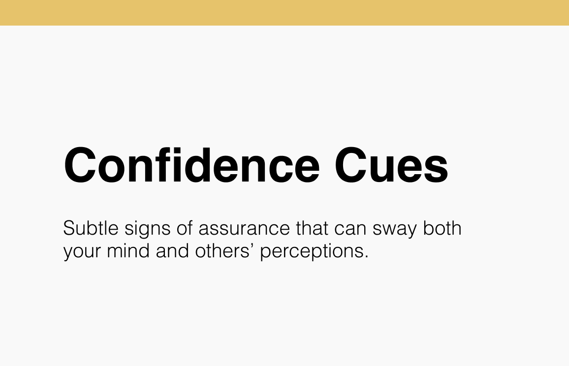 Confidence Cues